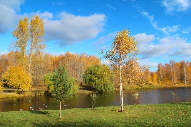 Скачать картинки Осенний пейзаж озеро, стоковые фото Осенний ...