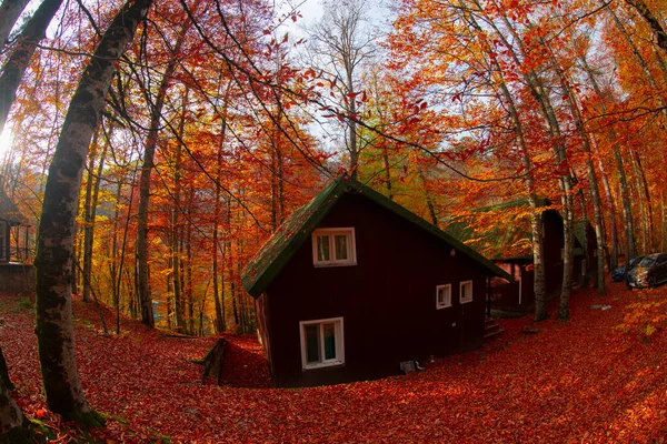 🍁Осенние поделки 🏠Изумительный домик Сделайте свой ...