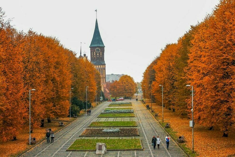 Осень в городе. Яркая картина гуашью в интерьер в интернет ...