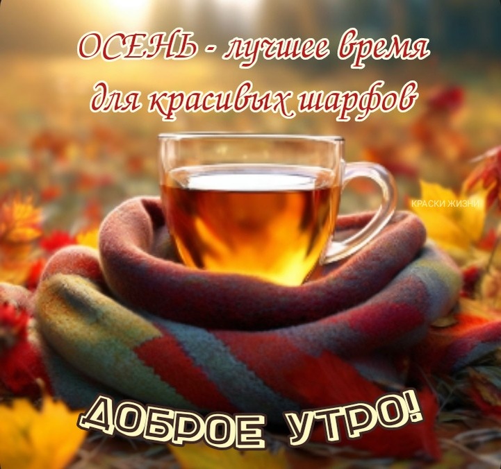 🍂🍁 ДОБРОЕ УТРО, ДРУЗЬЯ! ОТЛИЧНОГО ДНЯ! 🍁🍂 Радушно машет ...