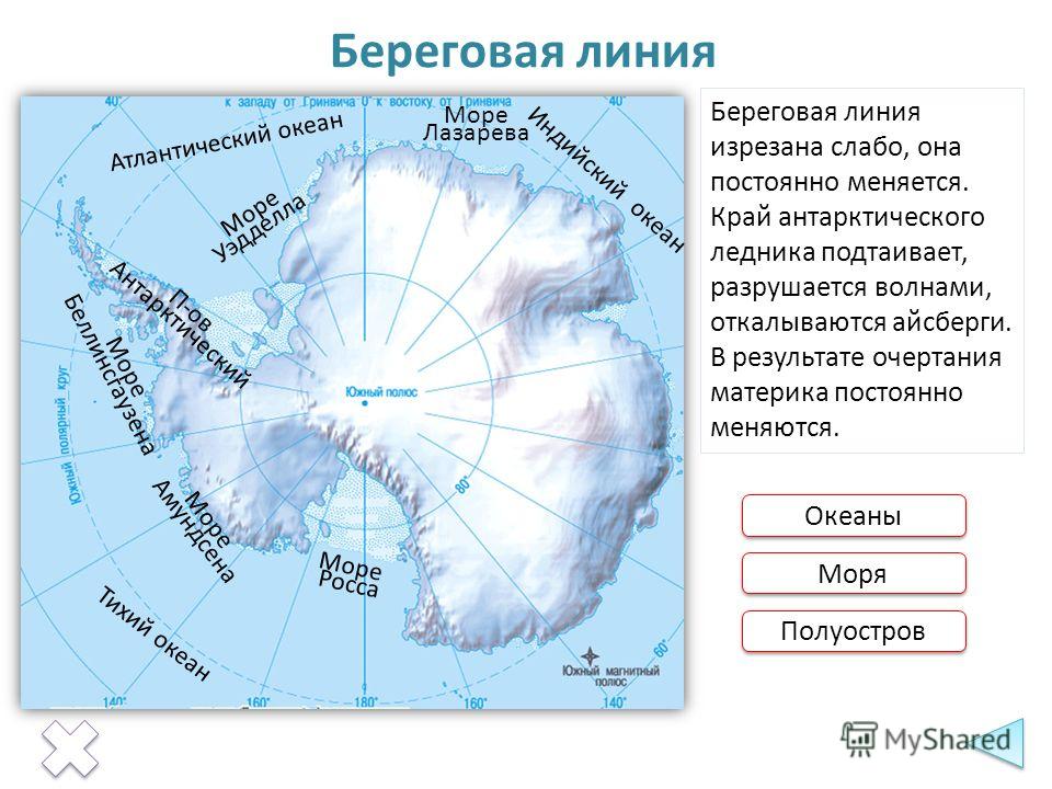 Тест: Русские имена на карте мира | Школа Бобра | Дзен