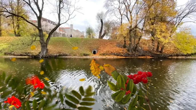 Осенний Краснодар: рай для фотосессий ...