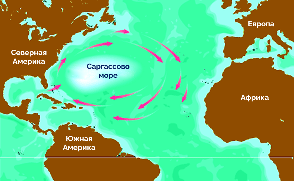 Где красное море?