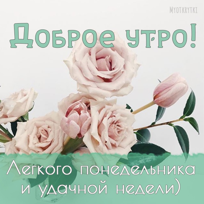 Доброе Утро В Дождливое Утро | TikTok