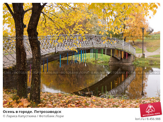 Нижний парк / Государственный музей-заповедник 