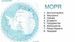 Разработка урока по географии для 7 класса на тему Антарктида ...