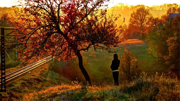 Осенняя любовь - Душевные хиты осени 🍁 Лечебная музыка для ...