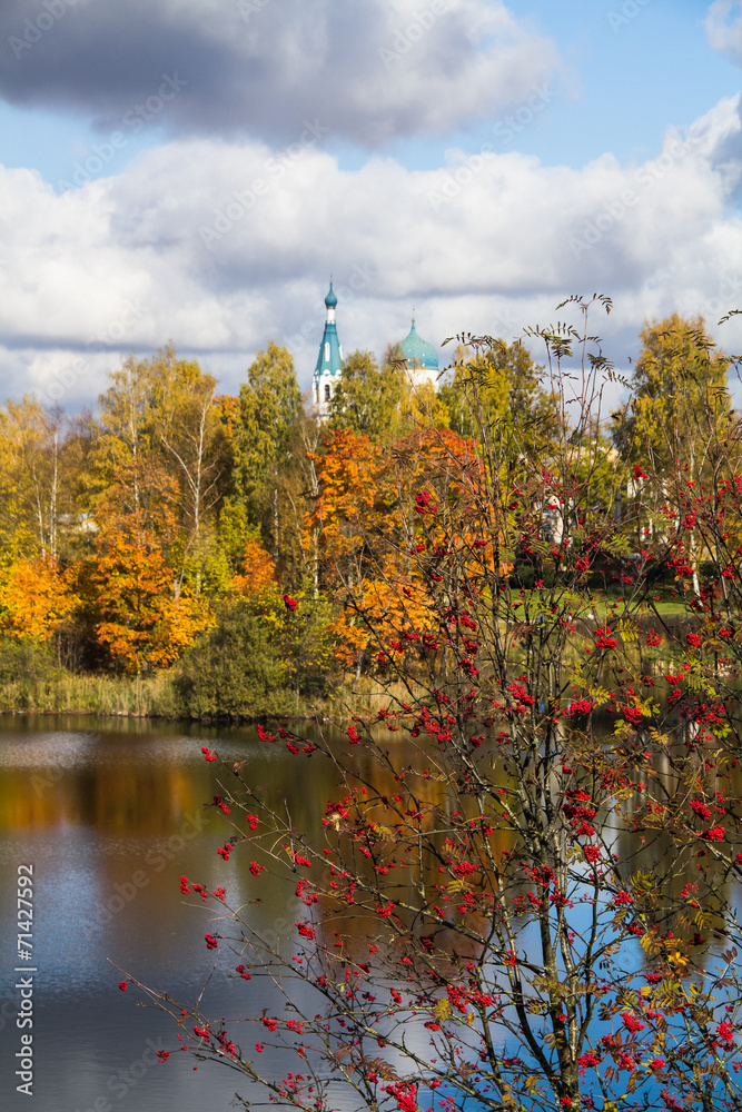 рябина, осенняя листва, осень ...