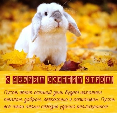 🍁 ⛅ ☕ Картинки С добрым осенним утром - скачать