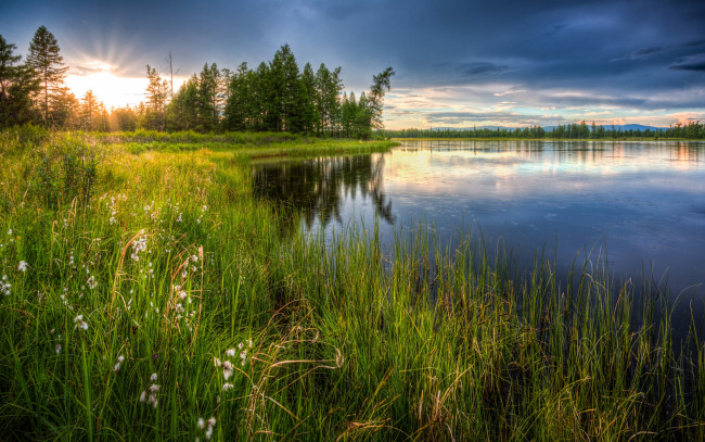 картинки : дерево, воды, природа, болотный, пустыня, луг ...