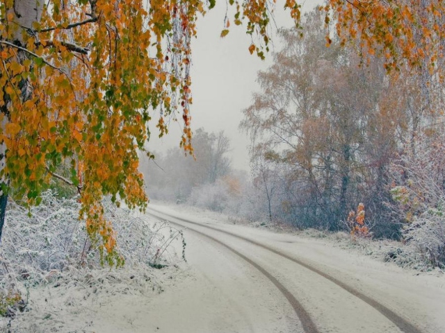 Первый снег в октябре. Красивые краски осени ...