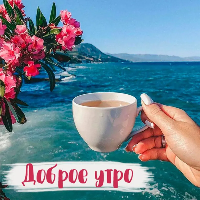 Доброе Утро Море | TikTok