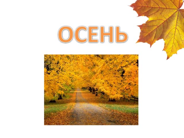 Обои осень, природа на рабочий стол (7 ...