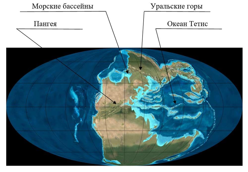 Купить Земельный Участок в КП Охтинский Парк (деревня ...