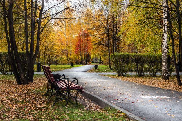 Фото: Загородный сад, парк культуры и ...