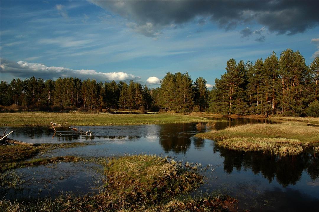 Мещера – Мещерский край