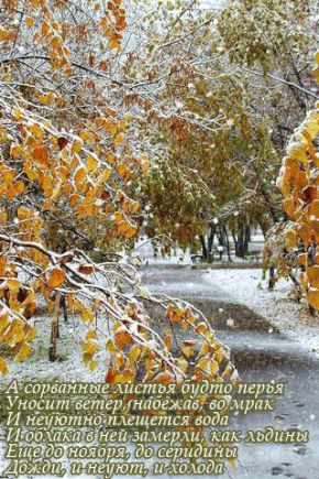 Месяц прощания с осенью и общения с собой