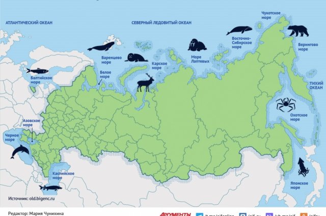 К бассейнам каких океанов принадлежат моря России?