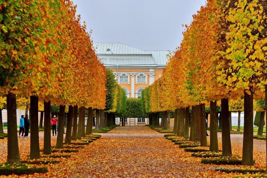 Осень в Санкт-Петербурге | Пикабу