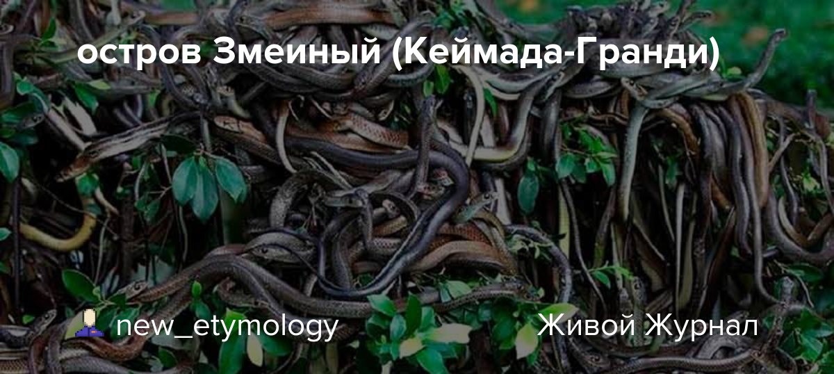 Бразильский остров ядовитых змей Кеймада-Гранди - место ...