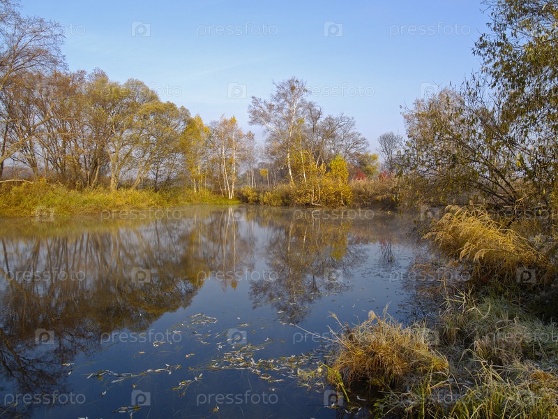 Осень, морозное, туманное утро ...