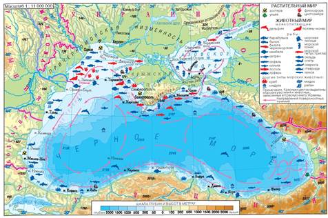 История возникновения Чёрного моря (Справка, Википедия) — про ...