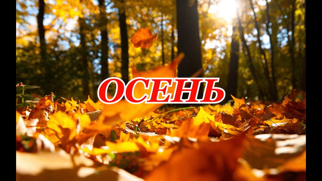 🍁🌸🍂На дворе осень. Вспомним пословицы и ...