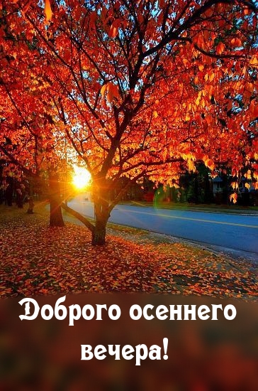 Открытки осень вечер природа - cтраница 7