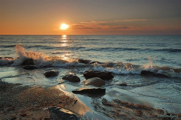 Искупаться в море за подписи камчатцев пообещали камчатские ...