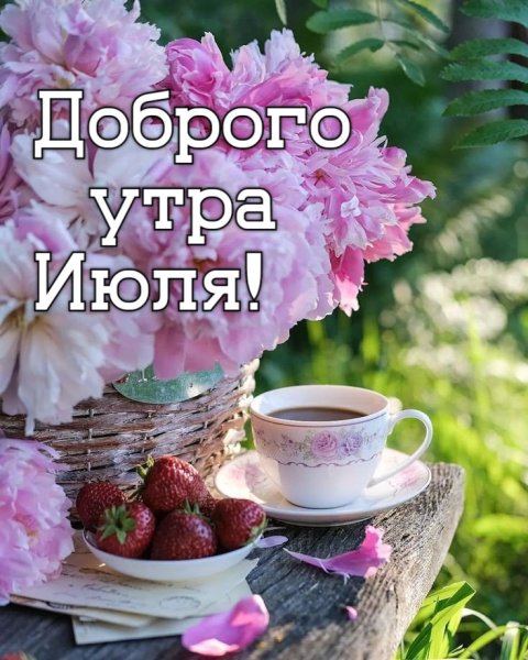 💦🍀☀🌸☀🍀💦 #ЛЕТО☀ Доброе утро, друзья! 😊 ✓11 ИЮЛЯ 2023 ...