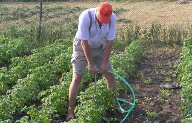 Нужно ли перекапывать огород осенью ...