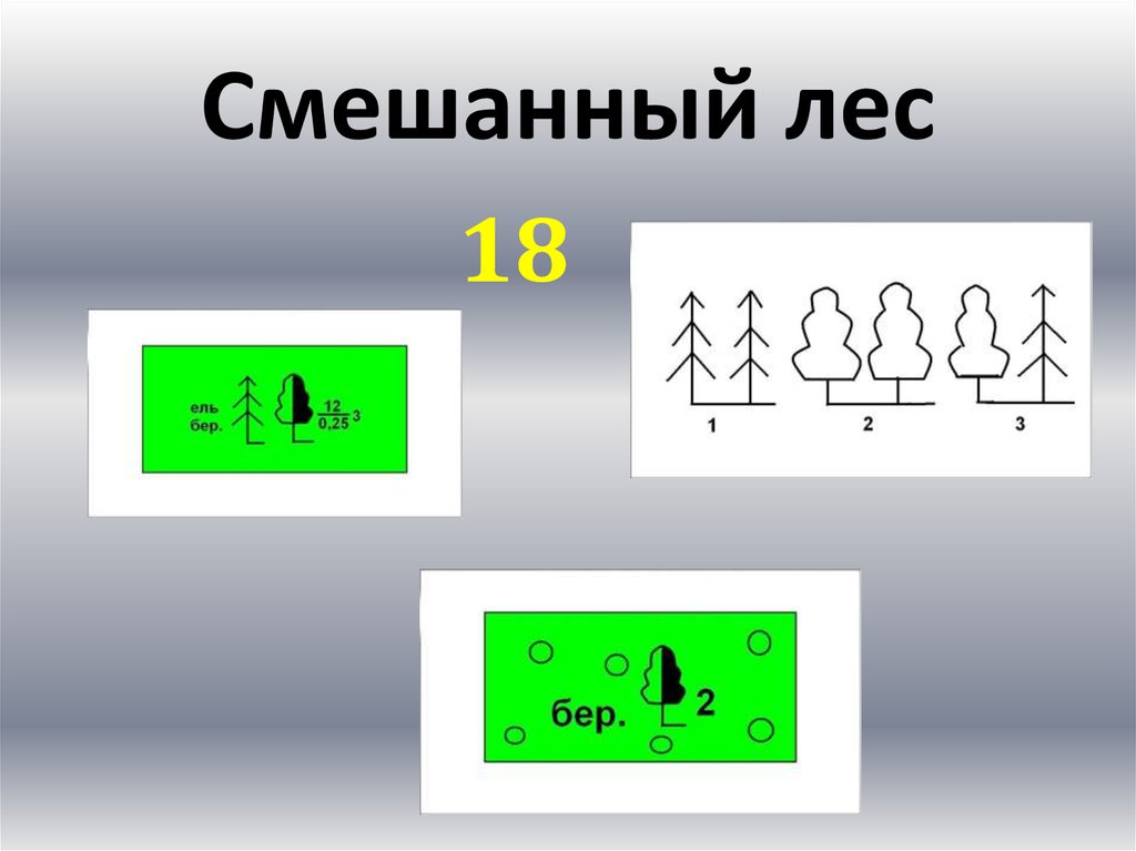 Условные знаки топографических карт СССР