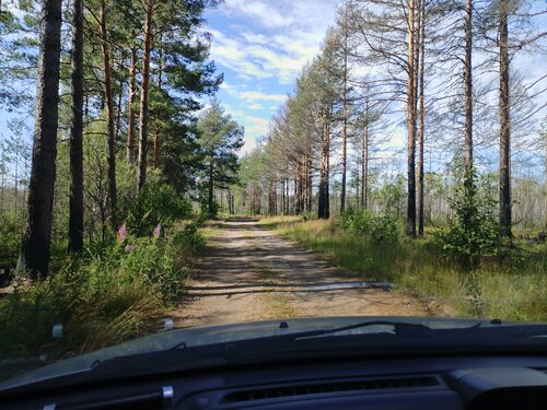 На заднем плане: как Анатолий Папанов справился с алкогольной ...