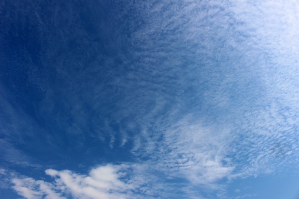 Free Photos | Autumn sky altocumulus 4