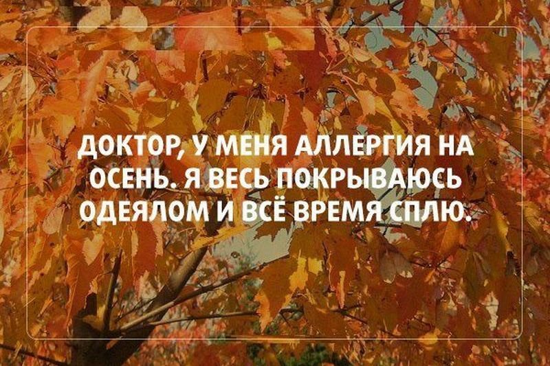 С первым днем осени! Новые картинки и гифки для поздравления ...