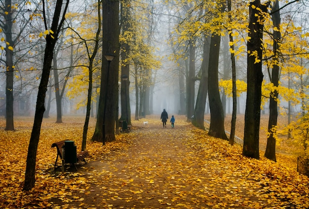 Туманная осень, Североморск - Кольский полуостров, Россия ...