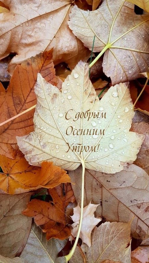 ☀️☕♥️ Доброе утро красивые картинки ...