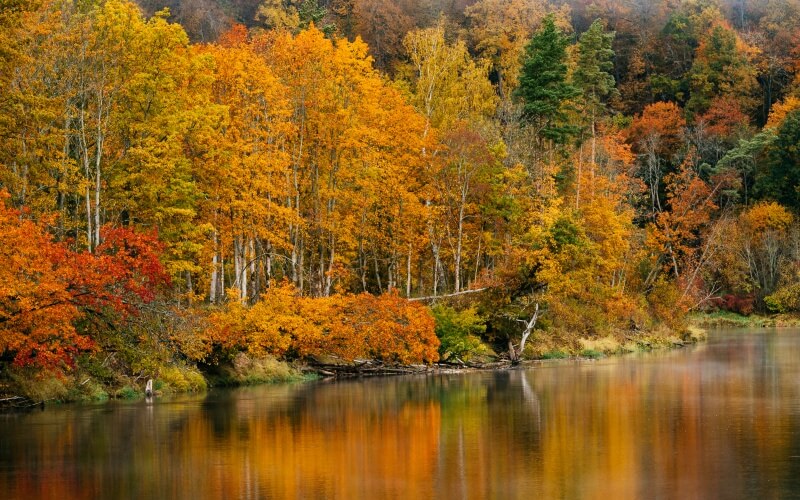 Парк в Риге осенью, Латвия, Европа ...