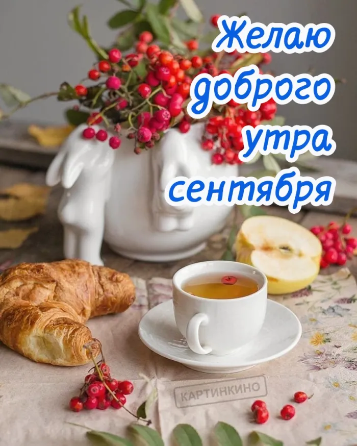 💐☕🧁С утром добрым, светлым, ясным, Днем ...