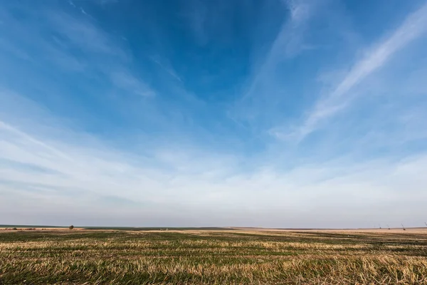 есть картинка красивого неба с облаками и луной, генеративный ...