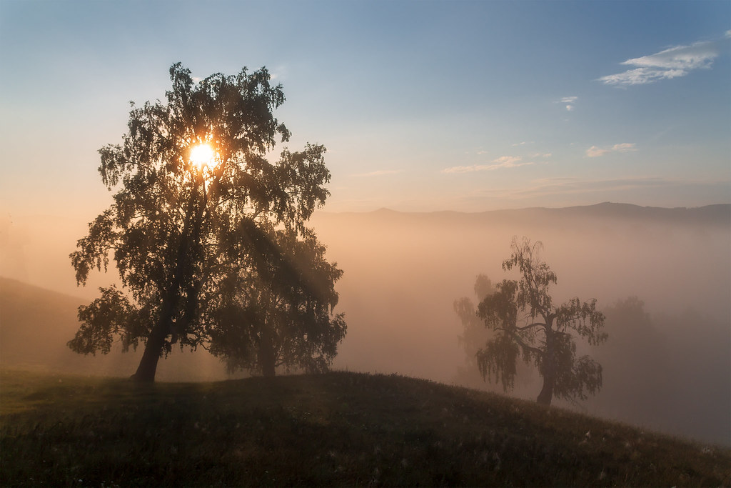 Фотообои Dekor Vinil 