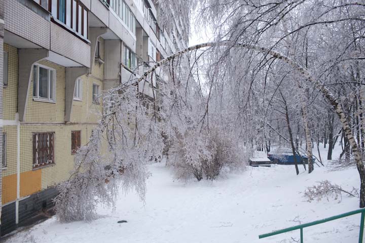 В Москве установилась аномальная погода: ожидается ледяной дождь