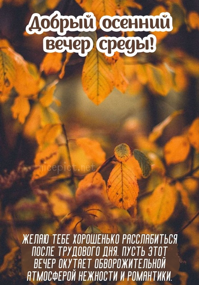 Доброе утро Прекрасной среды ☀🦋 | TikTok