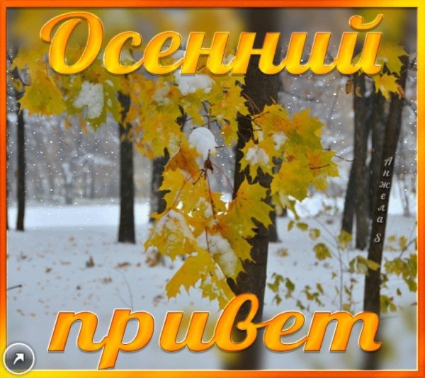 Осенние открытки 