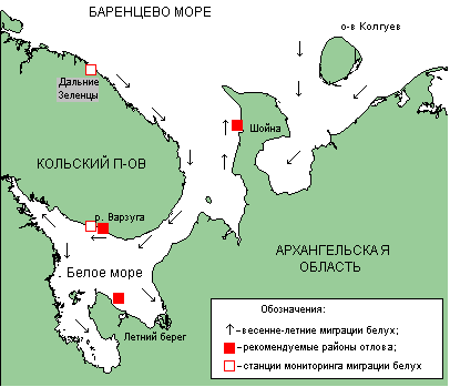 IV. Меркаторская карта части Белого моря и всего Онежского ...