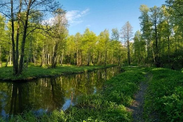 Москвичей предупредили об агрессивном ...