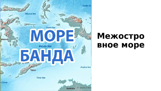 помогите пожалуйста география 6 класс​ - Школьные Знания.com