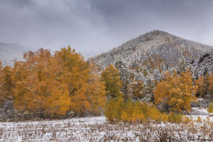 Уральские горы: осень встречается с зимой | Travelblog | Дзен