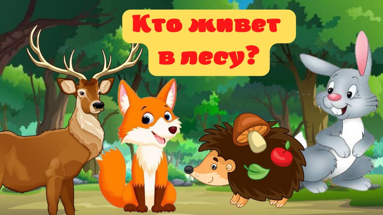 Лепка из пластилина: Лесные животные | SkillBerry | Онлайн ...