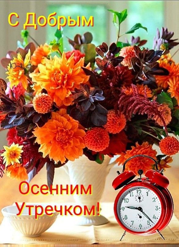 С добрым утром! Вот и среда наступает!🍁🌤🧣#среда #осень ...